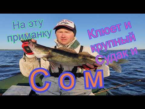 Видео: На эту приманку Клюет  и крупный Судак и Сом