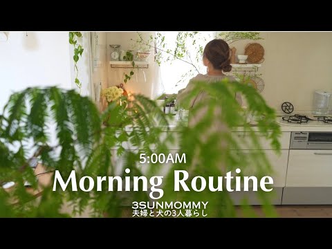 Видео: Распорядок дня в 5 утра | Готовые блюда и ланч-боксы для мужа и жены | Еда для собаки