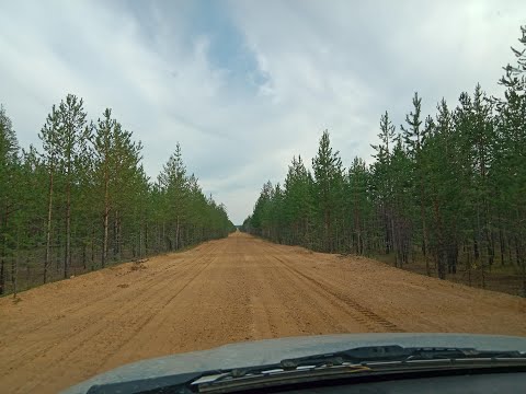 Видео: Сплав по Суле. Дорога домой. Часть 2. От Койнаса до Малой Пыссы.