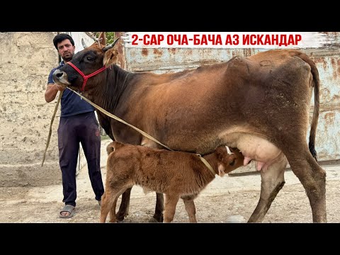 Видео: 18 сентября 2025 г.
