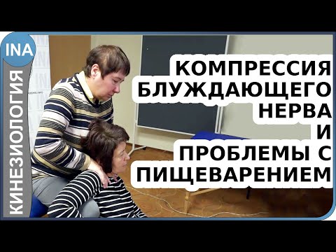 Видео: Компрессия блуждающего нерва и плохое пищеварение. Прикладная кинезиология Васильева