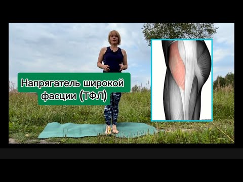 Видео: Напрягатель широкой фасции бедра | Визуальная оценка | Упражнения #мышцы