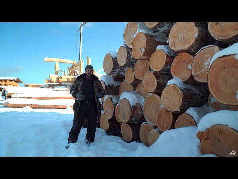 Видео: Наш Сибирский кедр!Лучшее сырье для сруба! Заготовка,обработка бревен.Площадка (март 2021)#1.