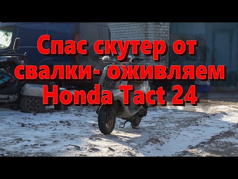 Видео: Как оживить старый скутер HONDA Tact 24
