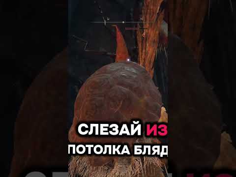 Видео: Муравьиный уравнитель #eldenring #прохождение #элденринг #shorts #twitch