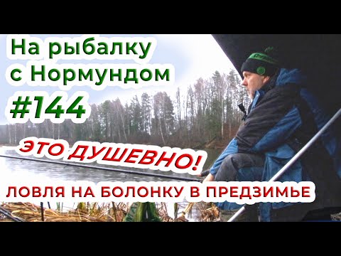 Видео: ВО-ПЕРВЫХ, это ДУШЕВНО! Болонская ловля в предзимье / На рыбалку с Нормундом #144