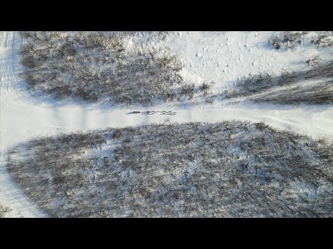 Видео: «Берингия» на Севере