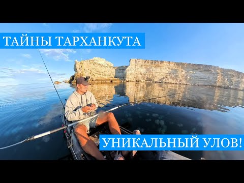 Видео: НАШЁЛ бутылку с посланием на РЫБАЛКЕ!! - Ловим и готовим черноморские деликатесы на мысе Тарханкут!