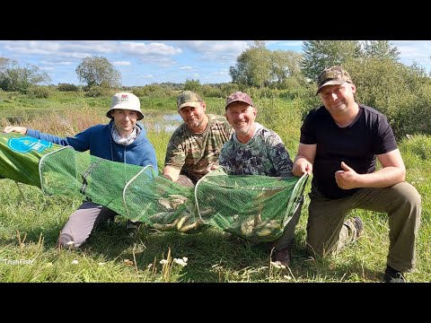 Видео: Карась в заброшенном рыбхозе! "TrishFish" ///// Рыбий жир