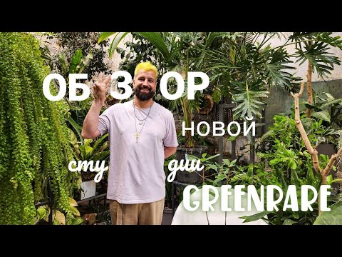 Видео: Обзор новой студии GreenRare/Здесь есть оранжерея!