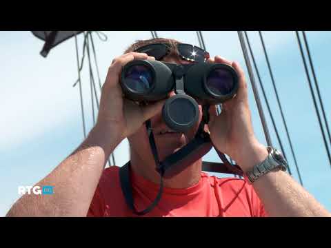 Видео: Весенняя регата в Сочи