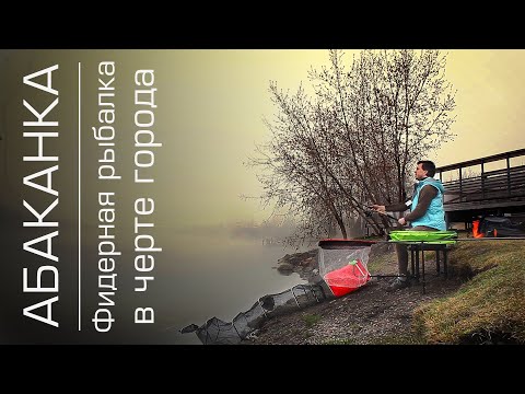 Видео: Фидерная рыбалка в черте г. Красноярска. Абаканская протока.