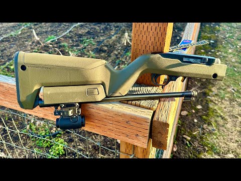 Видео: Ультимативная винтовка для выживания калибра .22 LR