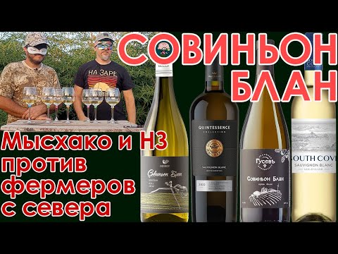 Видео: Какое вино выбрать для поливания шашлыка. Совиньон блан - слепое сравнение