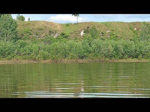 Видео: И снова Чулым.