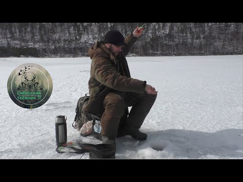 Видео: Рыбалка с подводной камерой FocusFish