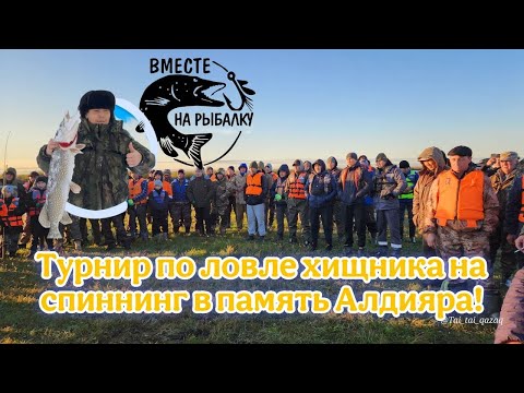 Видео: Турнир по ловле хищника на спиннинг в память Алдияра. #рыбалка #балык #fishing #рыбалканаозере #рыба