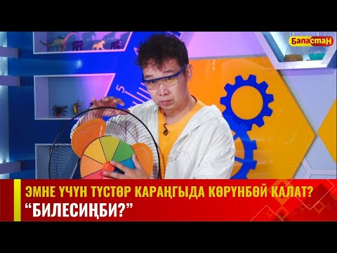Видео: ЭМНЕ ҮЧҮН ТҮСТӨР КАРАҢГЫДА КӨРҮНБӨЙ КАЛАТ? / БИЛЕСИҢБИ?