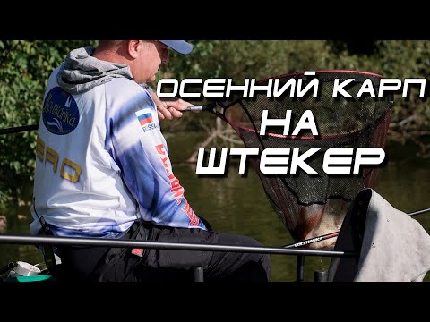 Видео: Эффективная снасть для ловли карпа.