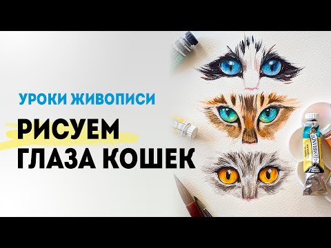 Видео: УРОК АКВАРЕЛИ: Как нарисовать кота? Мастер класс для начинающих