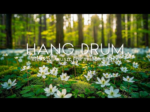 Видео: Успокаивающая музыка Hang Drum для релаксации, снятия стресса и беспокойства • Музыка для сна № 24