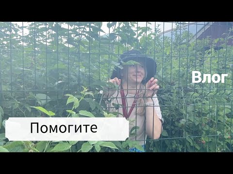 Видео: Vlog#985 В заложниках в Ильинке/Ныряющий баклан на Байкале, Энхалук/Сломался Шурик