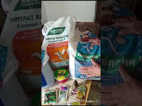 Видео: Схема подкормки клубники минеральными удобрениями.