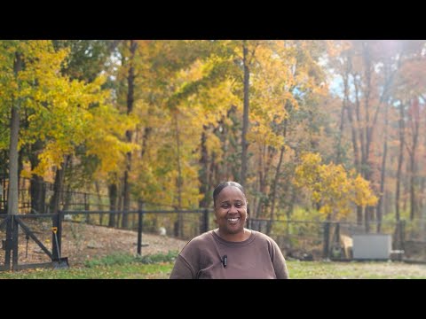 Видео: Осенний тур по садам в октябре 🍁🍂🪾
