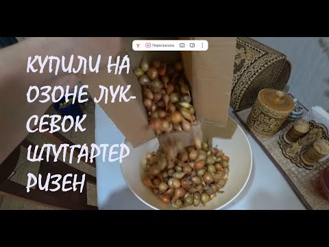 Видео: Получили в ПВЗ ОЗОН озимый ЛУК Покос ГАЗОНА газонокосилкой Удобрение ГРЯДОК травой_26.10.2025