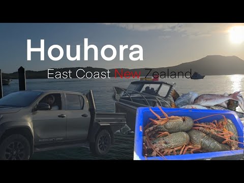 Видео: Весенняя рыбалка — Хохора [Эпизод 5] Восточное побережье Новой Зеландии