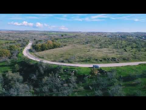 Видео: Бакърлия