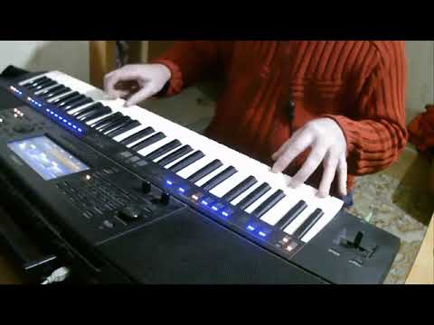 Видео: Я Шура ребенок нежный (Лариса Черникова )моя версия на Yamaha psr sx 700 старое видео 