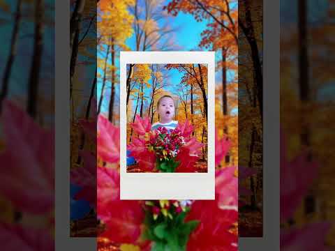 Видео: 14 сентября 2025 г.