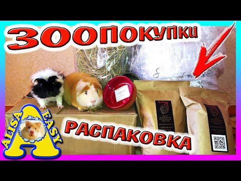 Видео: ЗООПОКУПКИ / РАСПАКОВКА ПОСЫЛКИ  29КГ / ХОМКИ В ШОКЕ / Чем кормить морскую свинку / Alisa Easy Pets