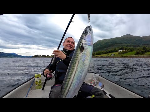 Видео: Крупная СКУМБРИЯ ПРЕТ и другая рыба… Рыбалка с лодки в Норвегии 2024