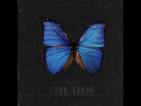 Видео: Opera Dna - Лилия