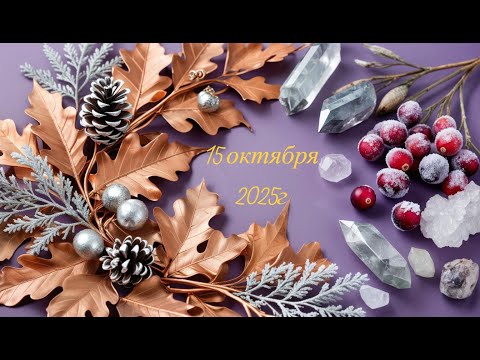 Видео: Новое поступление 15-10-2025