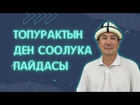 Видео: Топурактын ден соолукка болгон пайдасы. Байланыш тел.: 0777 003 486