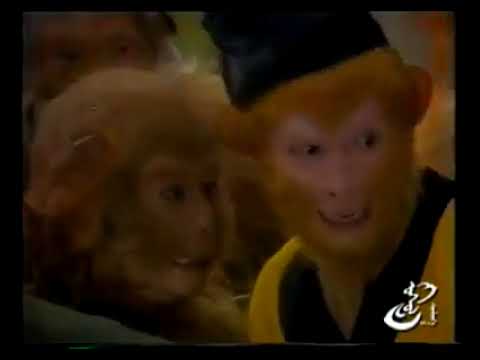 Видео: Сүн укүн 2-р анги
