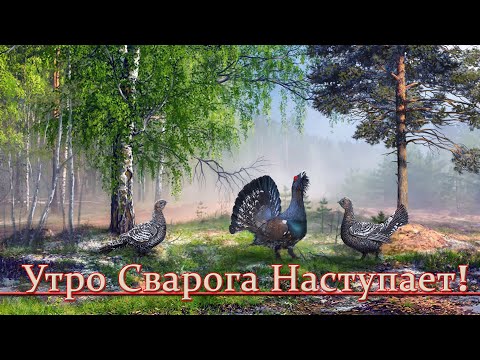 Видео: До Утра Сварога остались считанные дни! Готовьтесь к долгожданной встрече! Тритейникъ 1 Рамхатъ