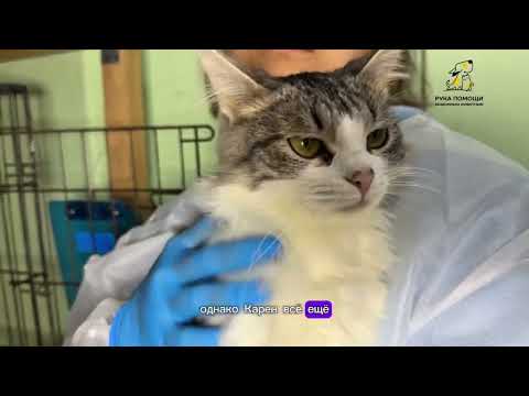 Видео: Черная полоса в жизни Карена