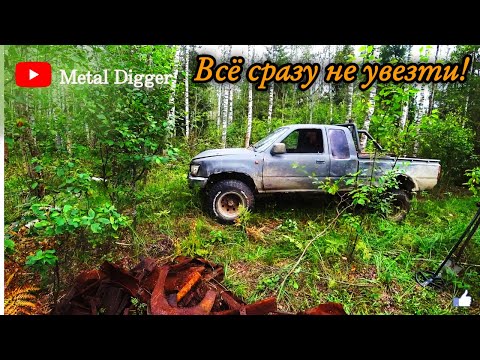 Видео: В этом лесу тонны металла, но вывезти его не легко.
