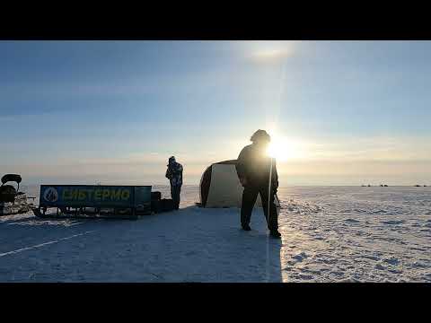 Видео: ЗИМНЯЯ РЫБАЛКА С КОМФОРТОМ. ОЗЕРО ЧАНЫ. КАРАСЬ