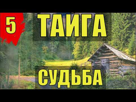 Видео: ЗАБРОШЕННАЯ ИЗБА ТАЕЖНЫЙ ТУПИК ЗАБРОШЕННАЯ ИЗБА ЛЕСНИКА ОТШЕЛЬНИ в ТАЙГЕ СУДЬБА ИСТОРИИ из ЖИЗНИ 5
