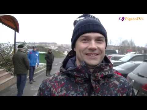 Видео: 2 этап КР спортинг-компакт, кубок Caesar Guerini. Брянск 1-2.04.17. День 1