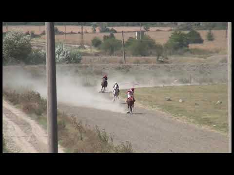 Видео: КОННИ НАДБЯГВАНИЯ В Дългопол 31.08.2019г (2)