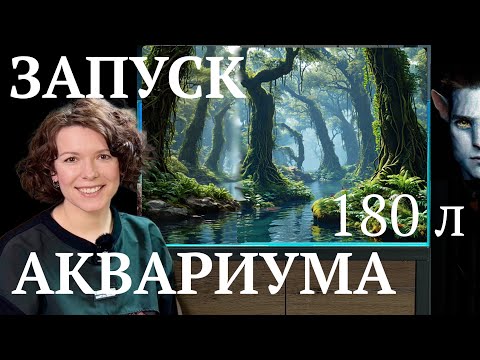 Видео: ЗАПУСК АКВАРИУМА 180 ЛИТРОВ ПОШАГОВО! Дизайн и оборудование | Маша Блюм