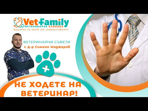 Видео: НИКОГА НЕ ХОДЕТЕ НА ВЕТЕРИНАРЕН ЛЕКАР !