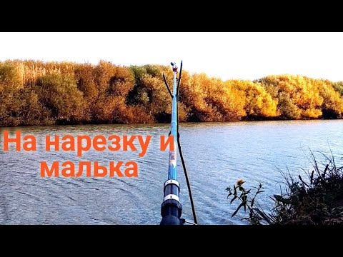 Видео: Рыбалка на Судака на донки.