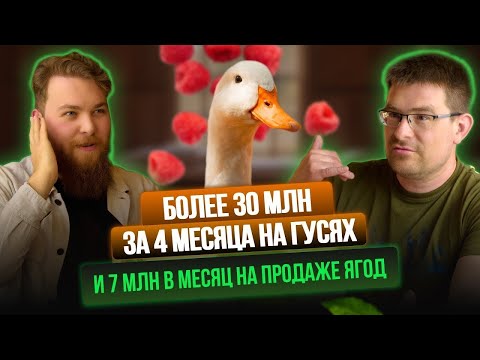 Видео: Миллионы на ягодах и гусях. Подкаст Ивана Халилова с Антоном Щетниковым